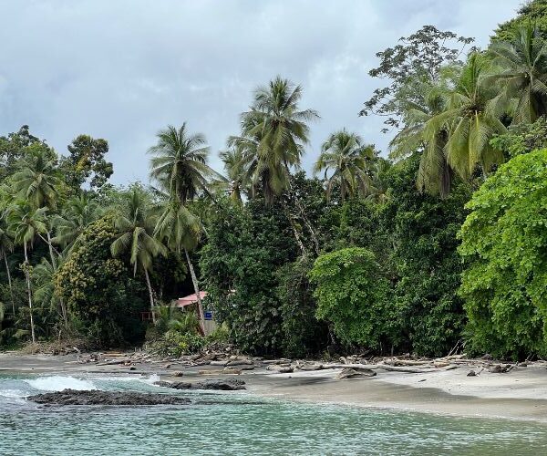 Paysage tropical du Chocó sur la côte Pacifique colombienne