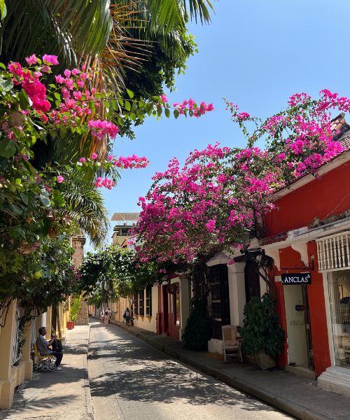 Rue colorée du centre historique de Cartagena en Colombie