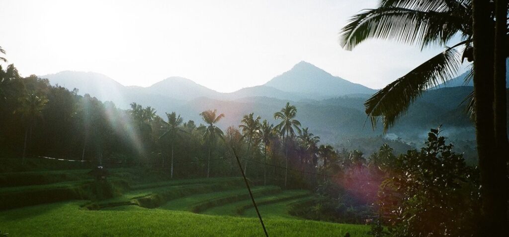 Rizières en terrasses et cocotiers au pied des montagnes de Bali, dans la lumière du matin, pour choisir sa destination de voyage
